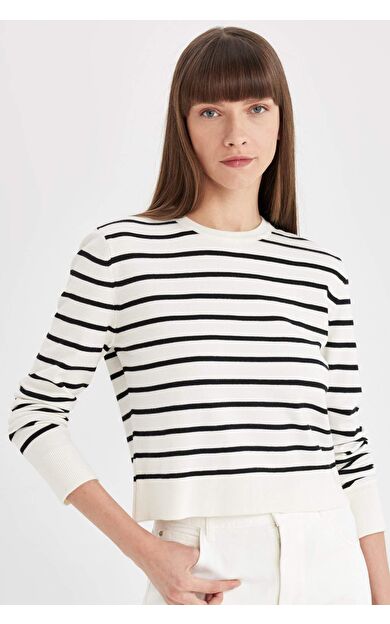 DeFactoFit Regular Fit Bisiklet Yaka Çizgili Kazak C5261AX24AUER105