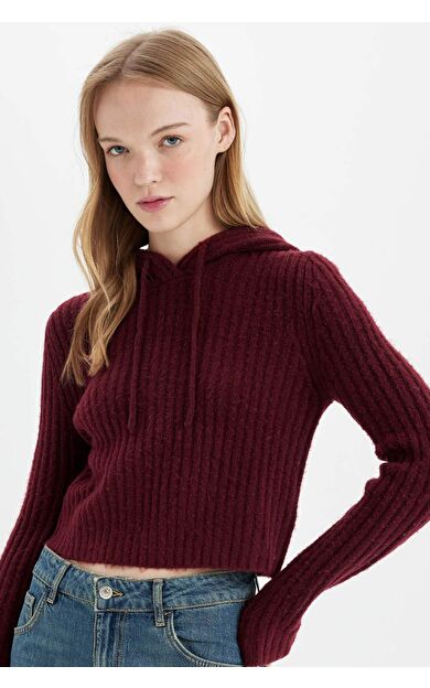 DeFacto Regular Fit Basic Kapüşonlu Kazak