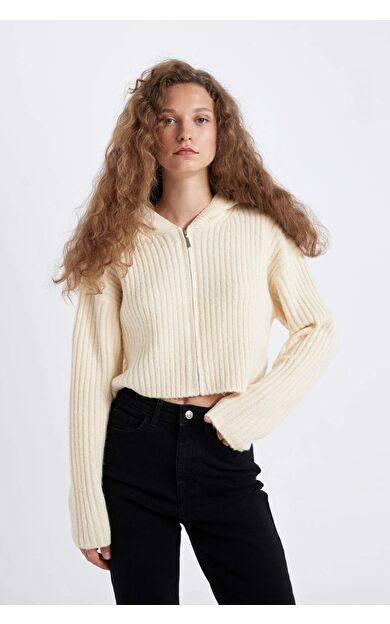 Regular Fit Kapüşonlu Fermuarlı Triko Hırka