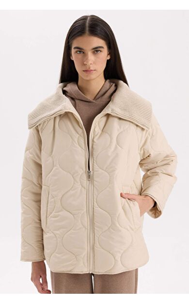 DeFacto Su İtici Kapitoneli Fermuar Kapamalı Cepli Hafif Mevsimlik Mont C7767AX24AUER238