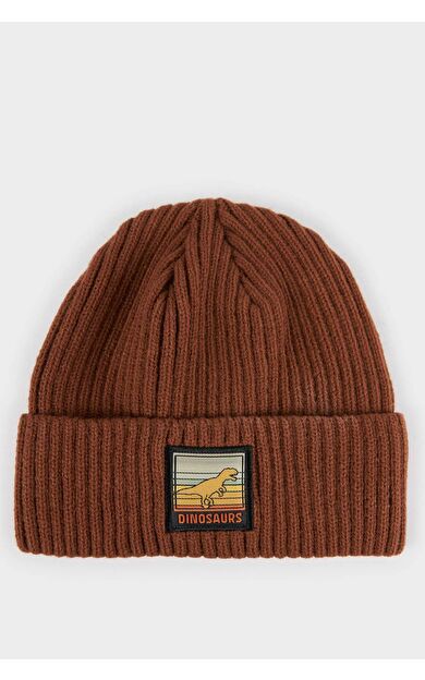 Erkek Çocuk Triko Bere C8587A825WNBN52