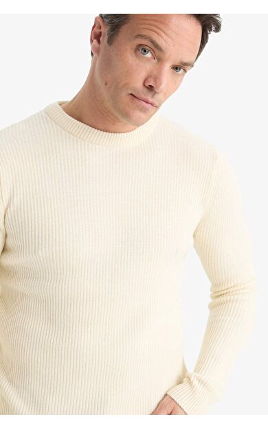 DeFacto Standart Fit Bisiklet Yaka Triko Kazak C8814AX25WNER139