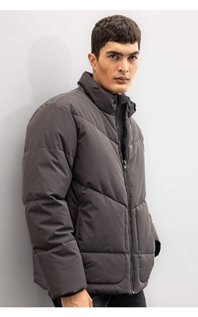 DeFacto Slim Fit Dar Kesim Dik Yaka Fermuarlı Mont C9020AX24WNAR221