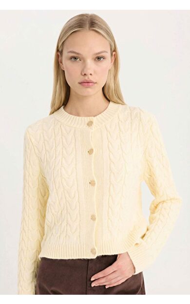 DeFacto Regular Fit Bisiklet Yaka Saç Örgü Desenli Düğme Kapamalı Triko Hırka