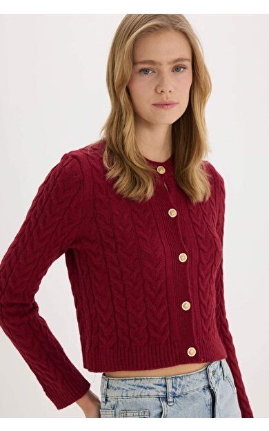 DeFacto Regular Fit Bisiklet Yaka Selanik Örgü Desenli Basic Düz Triko Hırka