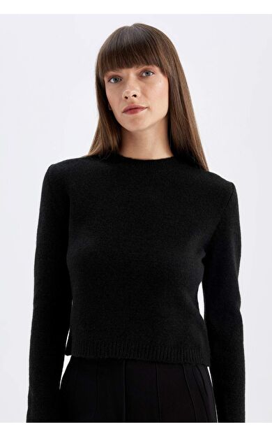 DeFactoFit Regular Fit Bisiklet Yaka Kazak C9047AX24WNBK27