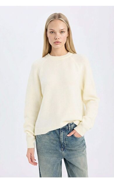 DeFacto Regular Fit Bisiklet Yaka Basic Düz Triko Kazak D0035AX24WNYL238