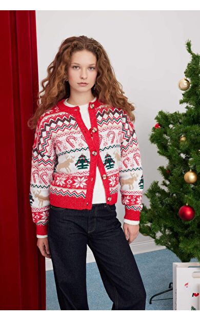 Regular Fit Bisiklet Yaka Triko Hırka