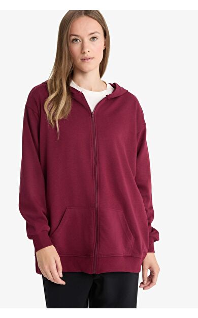 Regular Fit Kapüşonlu İçi Yumuşak Tüylü Kalın Fermuarlı Sweatshirt