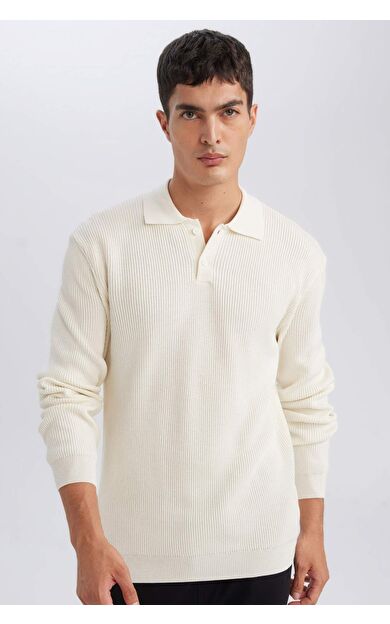 DeFacto Standart Fit Polo Yaka Kazak D1959AX24AUER139