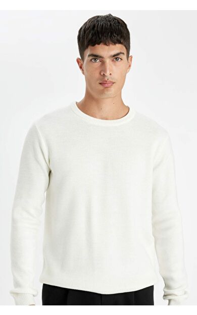 DeFacto Standart Fit Bisiklet Yaka Kazak D1967AX24AUER100