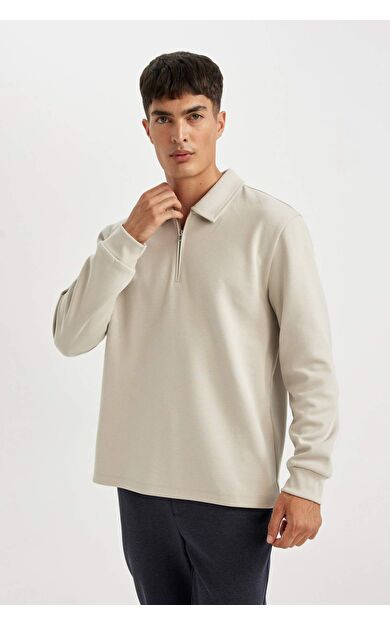 DeFacto Regular Fit Polo Yaka Yarım Fermuarlı Basic Düz Sweatshirt D2279AX24AUGR425