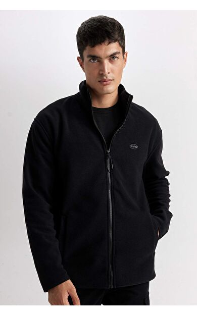 DeFacto Relax Fit Dik Yaka Polar Fermuarlı Sweatshirt D2349AX24AUBK81