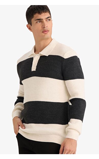 DeFacto Standart Fit Polo Yaka Triko Kazak