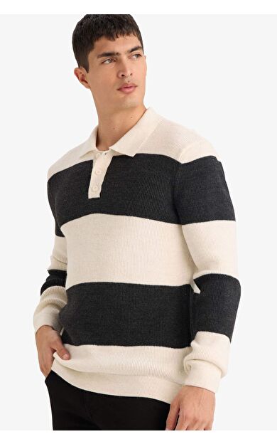 DeFacto Standart Fit Polo Yaka Triko Kazak