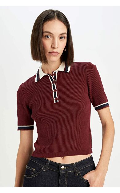 DeFacto Bordo Regular Fit Düğmeli Polo Yaka Kısa Kollu Triko Kazak