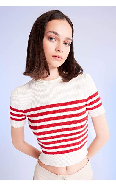 DeFacto DeFactoFit Slim Fit Çizgili Bisiklet Yaka Triko Tişört