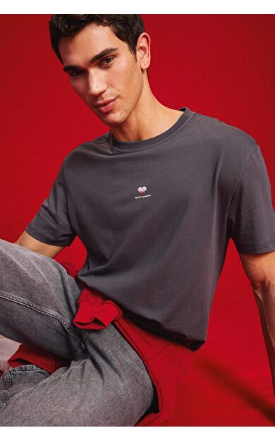 DeFacto Regular Fit Bisiklet Yaka Baskılı Kısa Kollu Tişört D5156AX25SPAR104