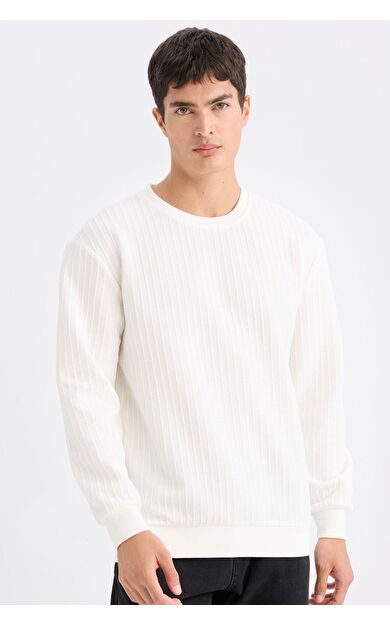 DeFacto Regular Fit Bisiklet Yaka Jakarlı Sweatshirt D5391AX24AUWT32