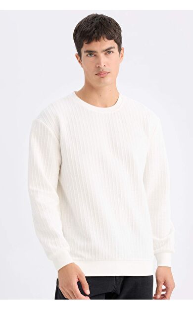 DeFacto Regular Fit Bisiklet Yaka Jakarlı Sweatshirt D5391AX24AUWT32
