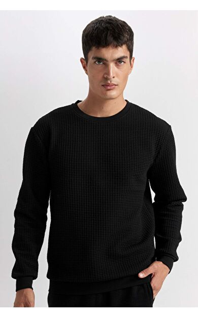 DeFacto Regular Fit Bisiklet Yaka Jakarlı Sweatshirt D5392AX24AUBK27