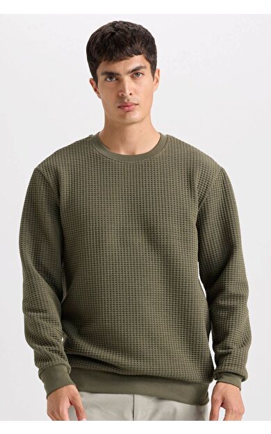 DeFacto Regular Fit Bisiklet Yaka Jakarlı Sweatshirt D5392AX24AUKH261