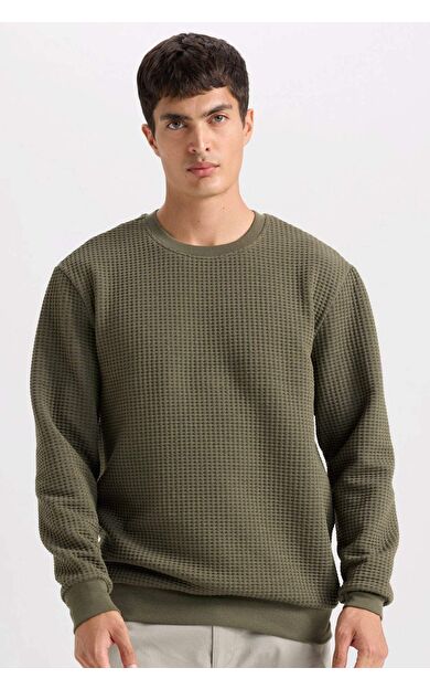 DeFacto Regular Fit Bisiklet Yaka Jakarlı Sweatshirt D5392AX24AUKH261