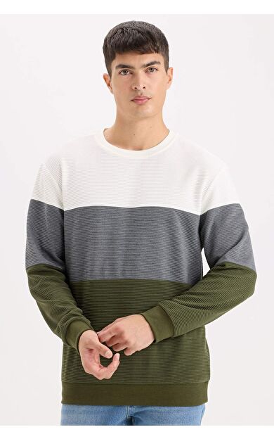 DeFacto Regular Fit Bisiklet Yaka Renk Bloklu Jakarlı Sweatshirt