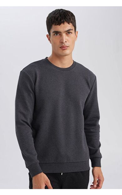 DeFacto Regular Fit Bisiklet Yaka Jakarlı Sweatshirt D5394AX24AUAR84