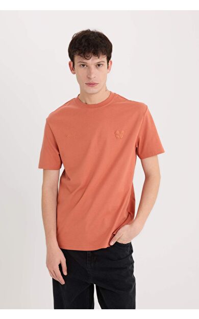 DeFacto Regular Fit Bisiklet Yaka Baskılı Kısa Kollu Tişört D5563AX25SPOG350