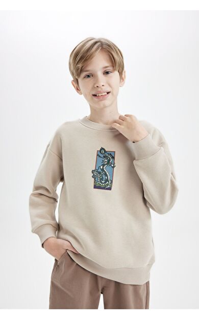DeFacto Erkek Çocuk Oversize Fit Bisiklet Yaka Sweatshirt D5678A824WNER37