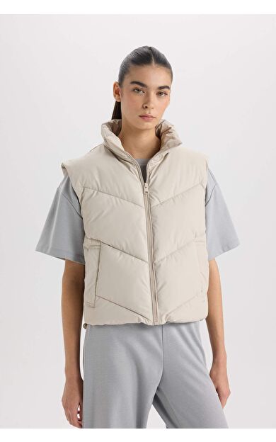 DeFacto Regular Fit Dik Yaka Kapitoneli Fermuarlı Cepli Şişme Yelek D5759AX25SPBG778