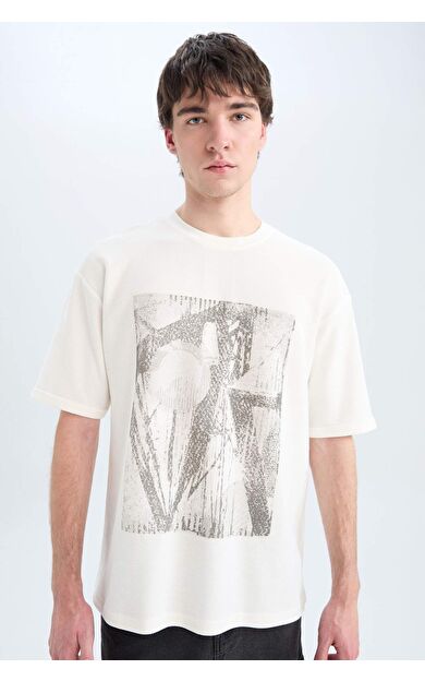 DeFacto Boxy Fit Bisiklet Yaka Baskılı Kısa Kollu Tişört D5865AX25SPER105