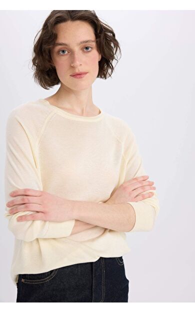 DeFacto Regular Fit Bisiklet Yaka Basic Düz Triko Kazak D6281AX25SPER235