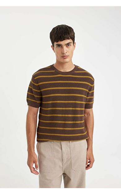 DeFacto Standart Fit Bisiklet Yaka Pamuklu Çizgili Kısa Kollu Tişört D6530AX24HSBG180
