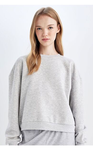 DeFacto Regular Fit Bisiklet Yaka Kalın Kumaş Sweatshirt D6645AX24WNGR256