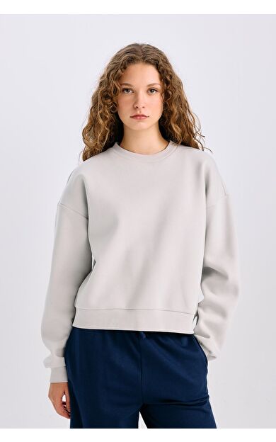 DeFacto Regular Fit Bisiklet Yaka Basic Kalın Kumaş Gri Sweatshirt