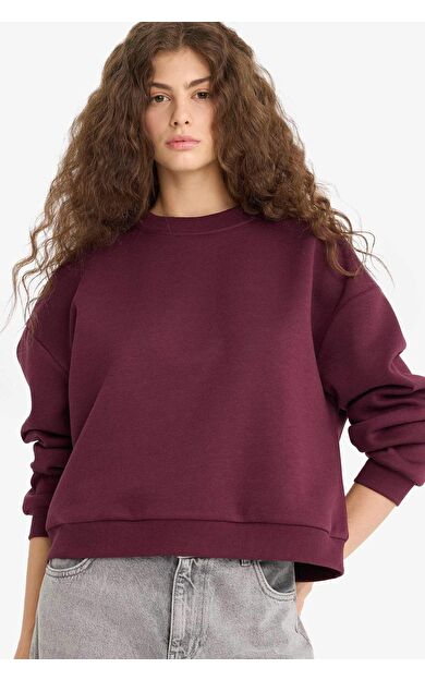 DeFacto Regular Fit Bisiklet Yaka Kalın Sweatshirt D6645AX25WNBR232