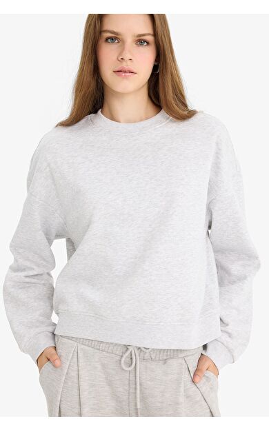 DeFacto Regular Fit Bisiklet Yaka Kalın Kumaş Sweatshirt