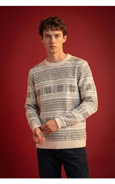 DeFacto Standart Fit Bisiklet Yaka Triko Kazak D6839AX24WNER139