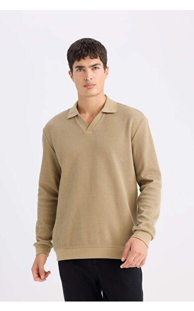 DeFacto Regular Fit Polo Yaka Sweatshirt D7448AX25SPKH185