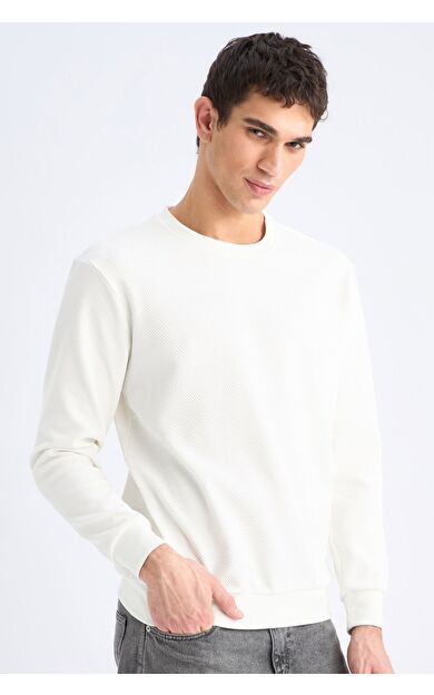 DeFacto Regular Fit Bisiklet Yaka Jakarlı Sweatshirt D7549AX25SPER138