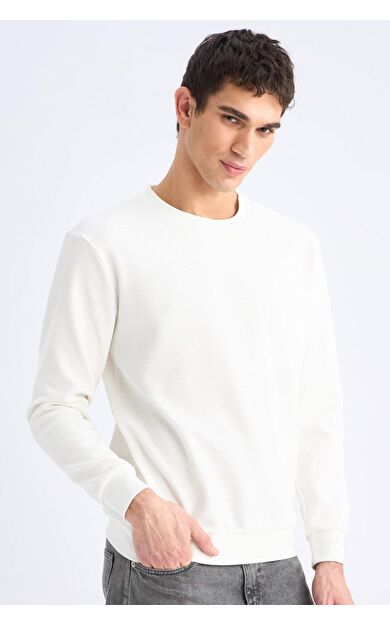 DeFacto Regular Fit Bisiklet Yaka Jakarlı Sweatshirt D7549AX25SPER138