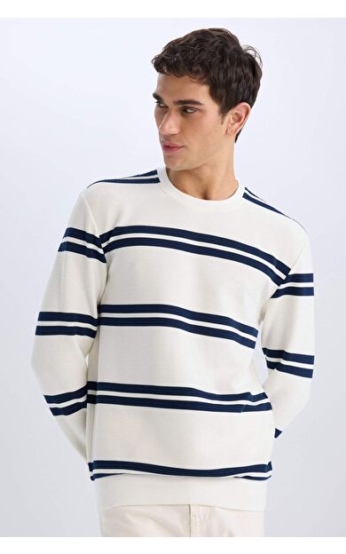 DeFacto Regular Fit Bisiklet Yaka Sweatshirt D7595AX25SPWT32