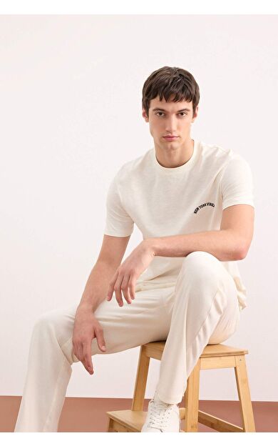 DeFacto New Regular Fit Bisiklet Yaka Kısa Kollu Jakarlı Tişört D7913AX25SPWT46