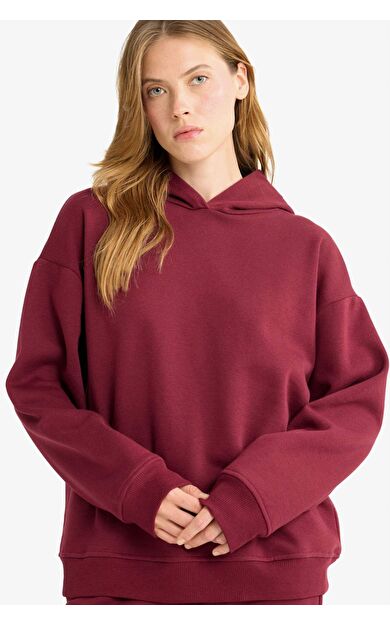 Relax Fit Kapüşonlu Basic Düz Kalın Sweatshirt D9935AX25WNBR115