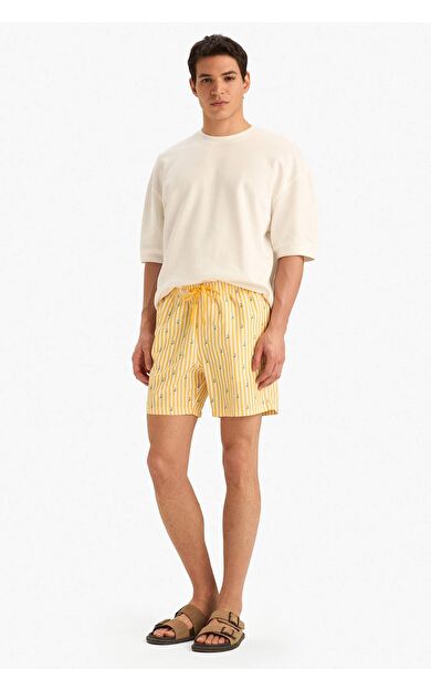 DeFacto Çizgili File Astarlı Kısa Boy Deniz Şortu E0950AX25HSYL190