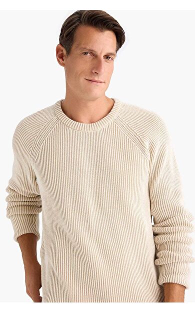 DeFacto Standart Fit Bisiklet Yaka Triko Kazak E0992AX24WNER100