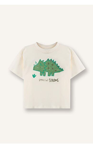 DeFacto Regular Fıt Dinozor Baskılı Kısa Kollu Tişört Erkek Bebek