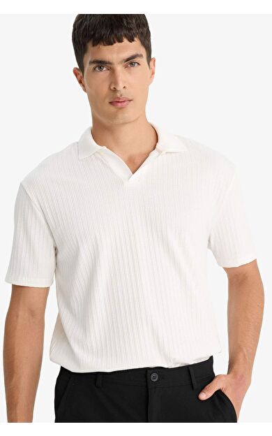 DeFacto Regular Fit Krinkıl Polo Yaka Kısa Kollu Tişört E1207AX25AUER85